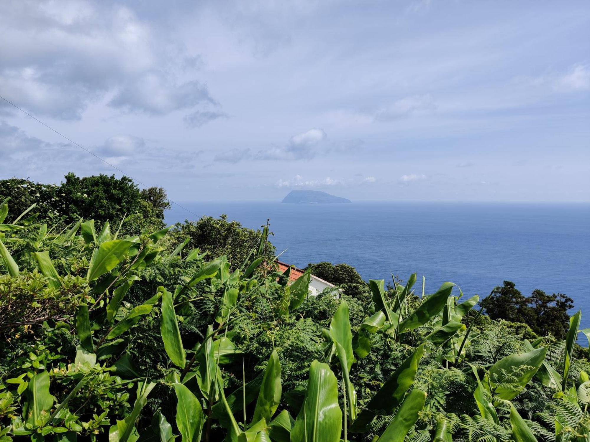 Ocean View Cedros Villa Santa Cruz das Flores Eksteriør billede